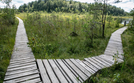 8_varnikiu-botaninio-zoologinio-draustinio-pazintinis-takas-5d611c3a58169_VSTT_L (1).jpg